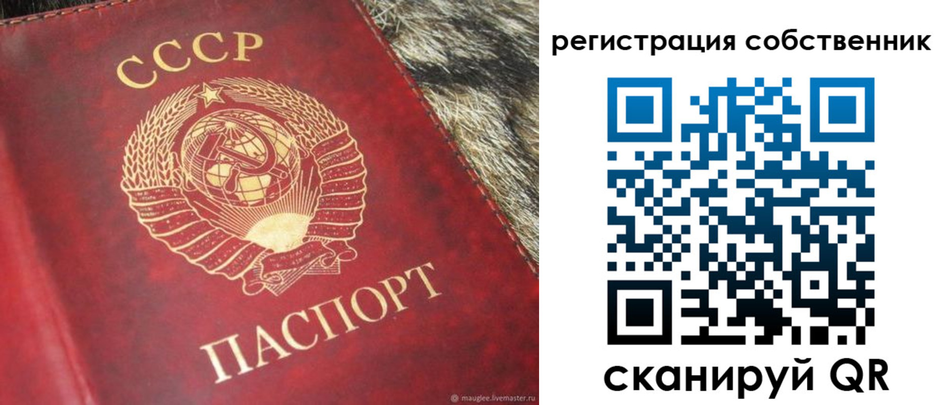 временная регистрация надежно в Волгоградской области